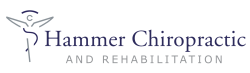 Hammer Chiropractic and Rehabilitation